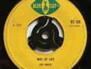 WAY OF LIFE  Joe White (KARL BRYAN) / I'M SO PROUD  Joe White (GRADUATES) Gems ?