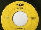 Obscure Ohio Teen Garage 45/ Doug Faiella 