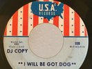 Rare Northern Soul R&B PROMO 45 Miss Ann Littles I Will Be Got Dog on USA HEAR