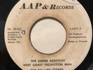 THE ROLLING STONES - I Cant Get No Satisfaction - RARE PANAMA 45