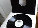 SKINNY PUPPY    original Promo Vinyl LP    Last Rights (1992)