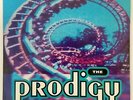 The Prodigy ?– Everybody In The Place 12