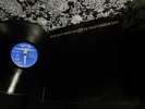 M- VINYL 1968 VELVET UNDERGROUND   White HEAT 69 Garage WARHOL REED ACID PSYCH