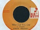 JUNIOR DELGADO JA 1970s Reggae 7