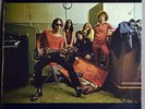 The Flaming Groovies 