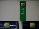 BEATLES WHITE ALBUM APPLE AP-8570,1 Japan OBI VINYL 2LP