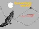 HOWLIN WOLF: MOANIN IN THE MOONLIGHT (LP vinyl *BRAND NEW*.)