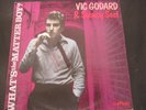Vinyl Record LP Album VIC GODARD & SUBWAY SECT WHAT'S THE MATTER BOY? (28)