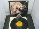 Vinyl Record LP Album PETER GREEN THE END OF THE GAME (28)