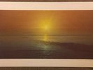 Circles Around The Sun Interludes For The Dead Poster Grateful 50th