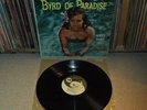 JERRY BYRD Byrd Of Paradise MONUMENT M-4003 Cheesecake ORIG LP Exotica RARE 1961