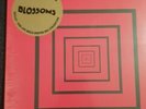 Blossoms You Pulled A Gun 7