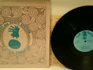 JERRY & NANCY STEVENS - a little resolution - dreamy hippie folk psych 1976 ORIG