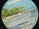 JUNIOR ROSS & THE SPEARS - BABYLON FALL