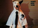 Rick Springfield **Working Class Dog ** SEALED Music on Vinyl Pressing 180gm NEW