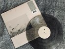 Wild Nothing GOLDEN HAZE (Repress) Clear Vinyl Record NEW SEALED Only 500 copies