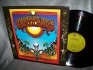The Grateful Dead   