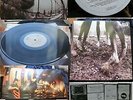PEARL JAM-VS. original 1st PRESS HOLLAND   LP vinyl EX -G/F +Lyrics insert 1992