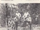BLUEGRASS 45RPM - CANE CREEK REUNION ON RUM RIVER - RARE   WITH PICTURE SLEEVE