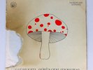 RAREST Irish LP 1973 1st Press Mushroom Early One Morning Psychedelic Rock Folk