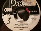 The Night Raiders w/ Mickey Hawks 4007 COTTONPICKIN' & HIDI HIDI HIDI