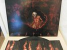 Cannibal Corpse – Torture - LP