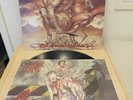 Cannibal Corpse – Bloodthirst - LP - First Press