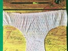 ALICE COOPER - SCHOOL'S OUT -1972 VINYL - INCLUDES ORIGINAL “PANTIES”