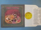MEAT PUPPETS S/T Debut LP SST Records Original 1982 Indie Punk Rock