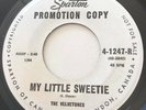 TEEN The Velvetones MY LITTLE SWEETIE Sparton 45 rare Canadian EX