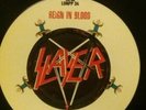 Slayer Reign in Blood Picture Disc Album