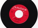 RAIDERS  - 45 - Hocus Pocus                                              RARE