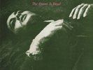 The Smiths-The Queen Is Dead (UK IMPORT) Vinyl / 12