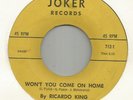 RICARDO KING WONT YOU COME ON HOME / ON A HOT SUMMER DAY IN THE BIG CITY
