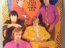 THE LOVED ONES - MAGIC BOX LP - ORIG 1967 W&G MONO - KILLER GARAGE BEAT MONSTER