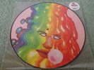 BLACK MOTH SUPER RAINBOW - Dandelion Gum(USA 2011 PICTURE DISC VINYL ALBUM )