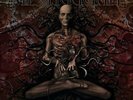 MESHUGGAH: OBZEN (LP vinyl *BRAND NEW*)