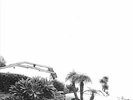 Timber Timbre - Hot Dreams