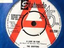 THE CHIFFONS: DEMO COPY 