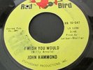 John Hammond GARAGE I Wish You Would/I Can Tell-RARE 1966 Red Bird Blues 45