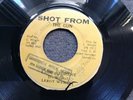 Shot From The Gun Leroy Wright False Preacher Rare Roots