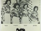 Manana - S/T LP - Private Mexican Soul Funk Lounge VG+ Shrink MP3