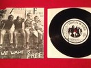 ARTICLES OF FAITH What We Want Is Free RARE ORIG 7