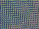 Animal Collective - Merriweather Post Pavilion