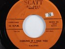 Doo Wop R&B 45 CALIPHS Darling If I Had You SCATT HEAR
