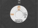 FLEETWOOD MAC  Albatross  rare promo 45 from 1969