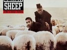 BLACK Sheep A Wolf in Sheep's Clothing MERCURY RECORDS Sealed Vinyl Record LP