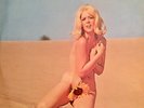 SEXY COVER CHEESECAKE ACE CANNON SOUL SAX THE BEATLES COVER SL 149/50 RARE LP