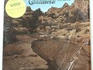 David Chalmers ?Looking for Water Houston LP 1977 River Records SRR 1001 VG+
