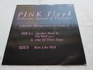 PINK FLOYD DELICATE SOUND OF THUNDER RARE PROMO ONLY 12